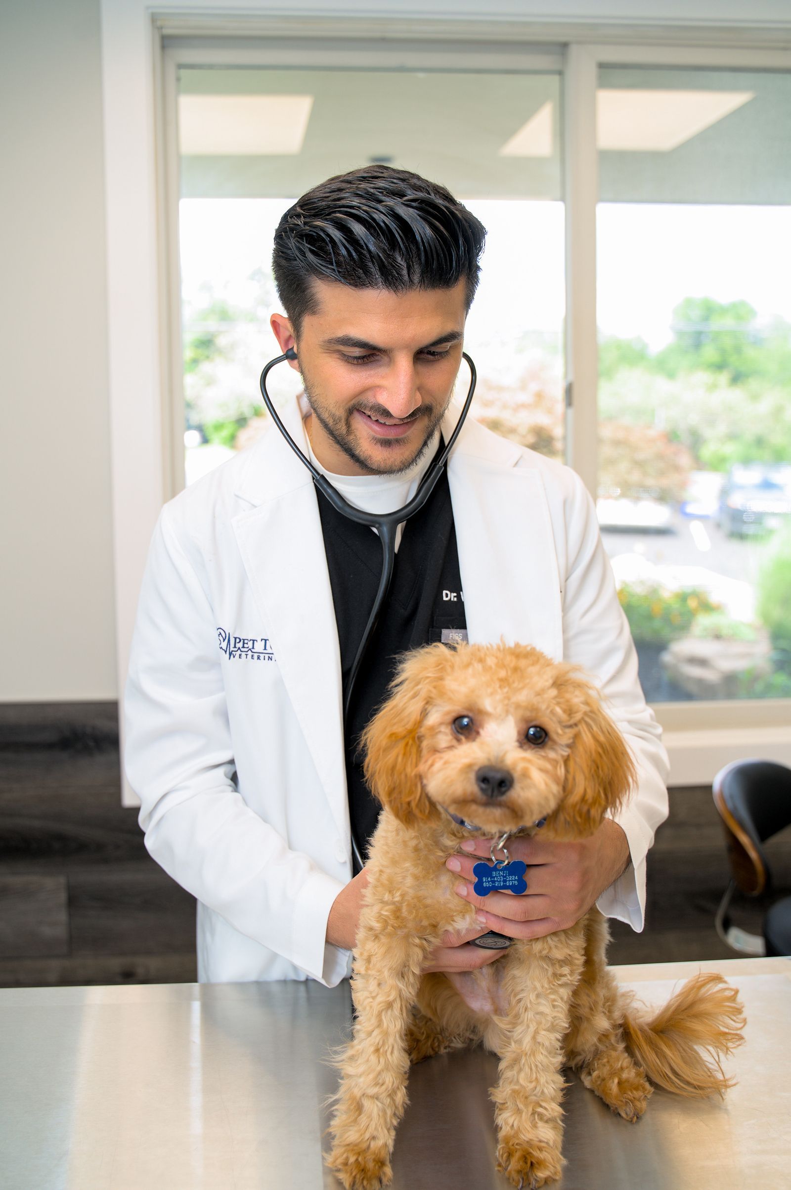 HighQuality Vet Hospital in Newtown, CT Pet Town Veterinary